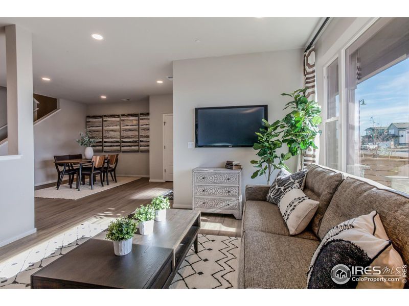 EXAMPLE PHOTO: LIVING ROOM AND DINING ROOM