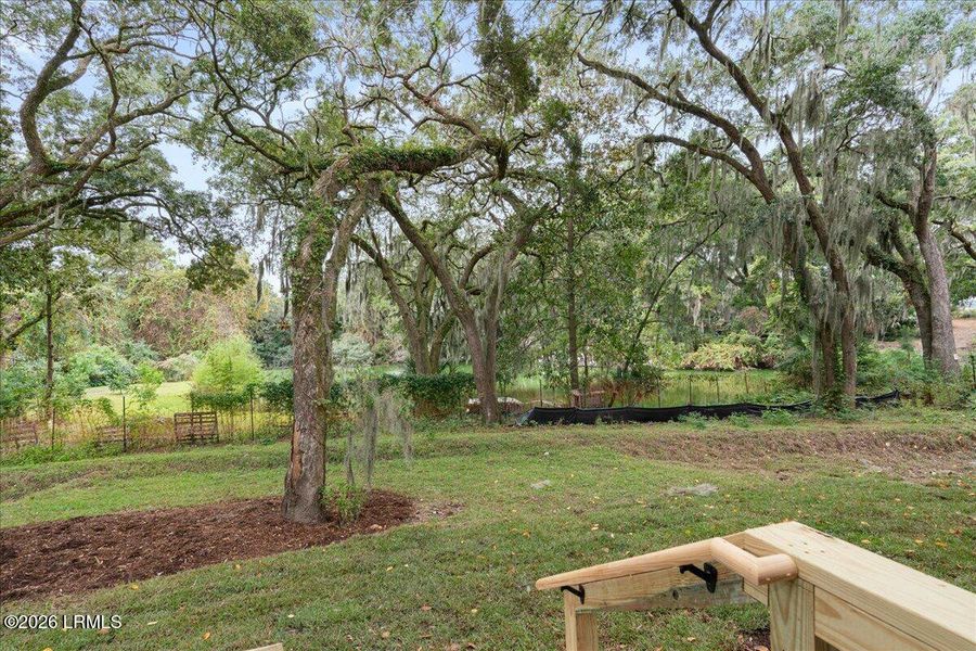 Natural landscape and outdoor views near  in Beaufort (Image 88).