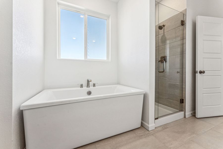 Representative furnished interior of a home built from the Sedalia by Taylor Morrison in Trailstone, Arvada (Image 18).