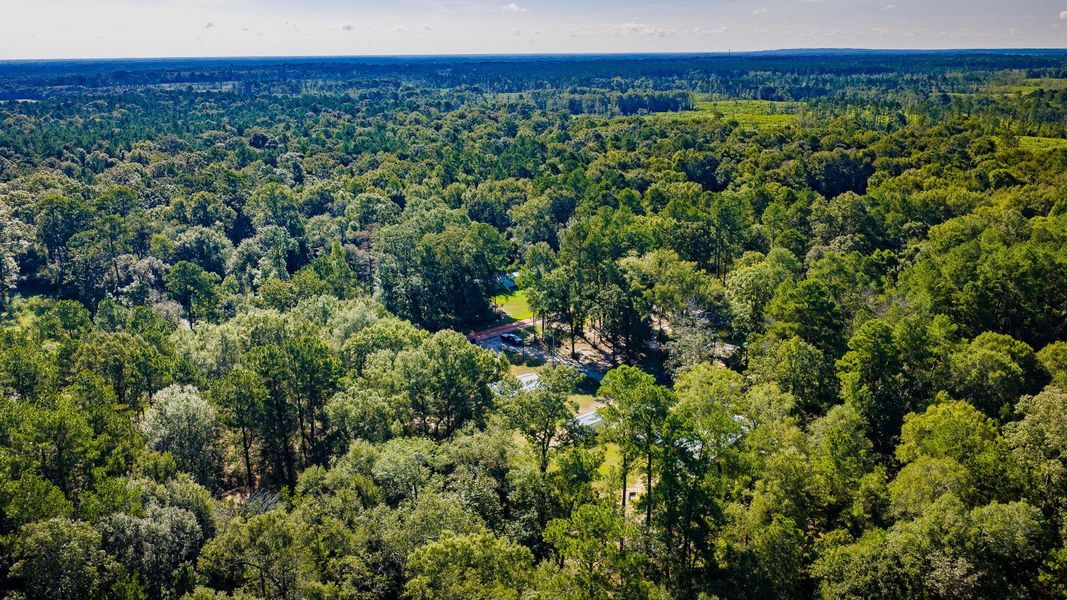 Natural landscape and outdoor views near in Shepherd (Image 31). Natural landscape and outdoor views near in Shepherd (Image 31).