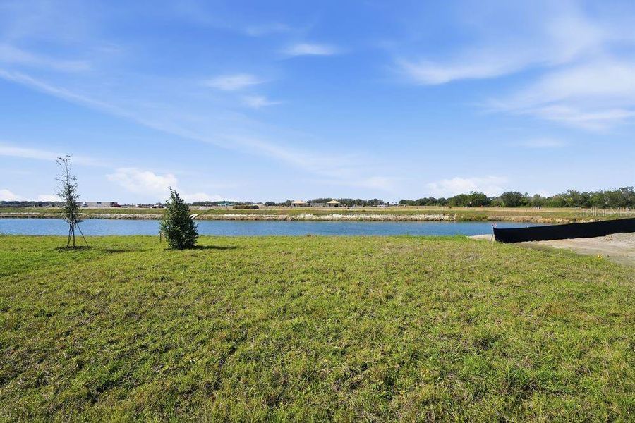 Natural landscape and outdoor views near Firethorn in Parrish (Image 33).