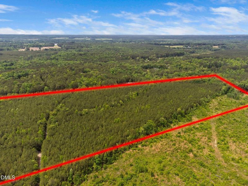 5-web-or-mls-s-plank-rd (1) 5-web-or-mls-s-plank-rd (1)