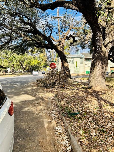Natural landscape and outdoor views near  in Houston (Image 35).