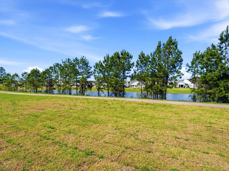 Natural landscape and outdoor views near The Coves at Lakes of Cane Bay II in Summerville (Image 33).