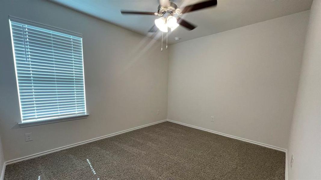 Neutral wall tones and gray carpet flooring