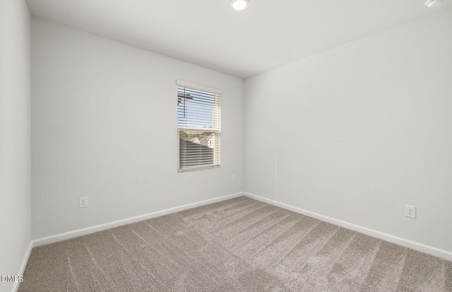 oriole (17) oriole (17)