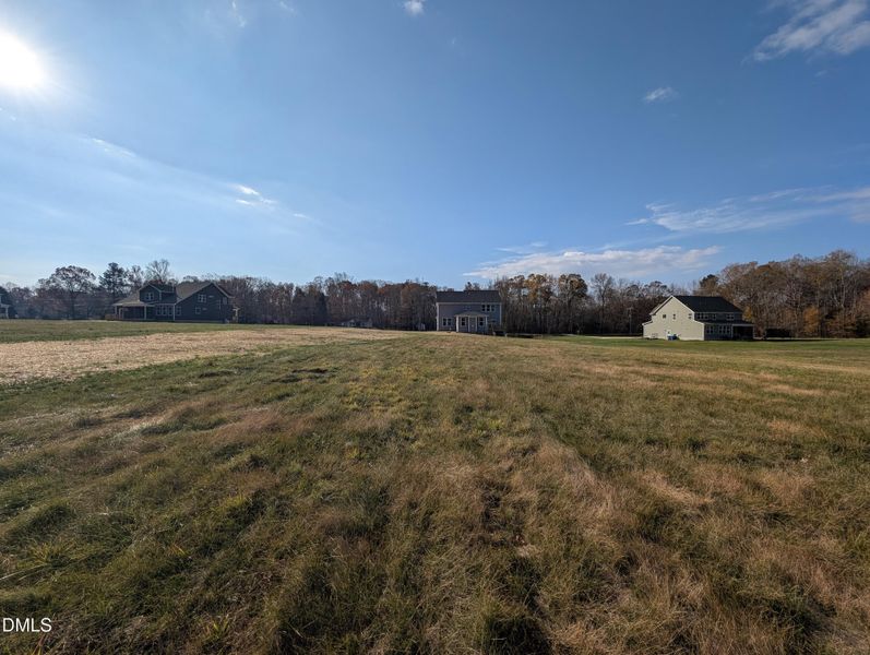 PXL_20251120_145129074