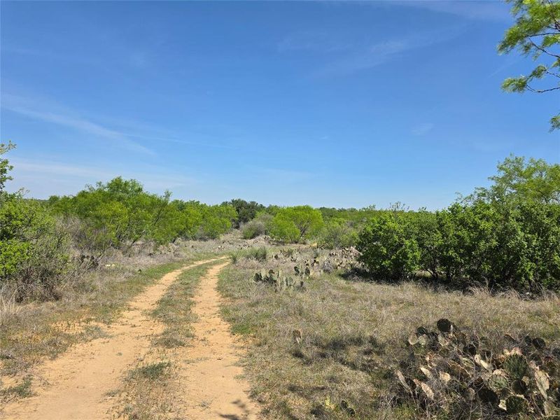 Natural landscape and outdoor views near  in San Saba (Image 24).
