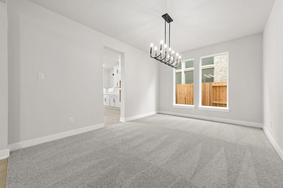 REPRESENTATIVE PHOTOS