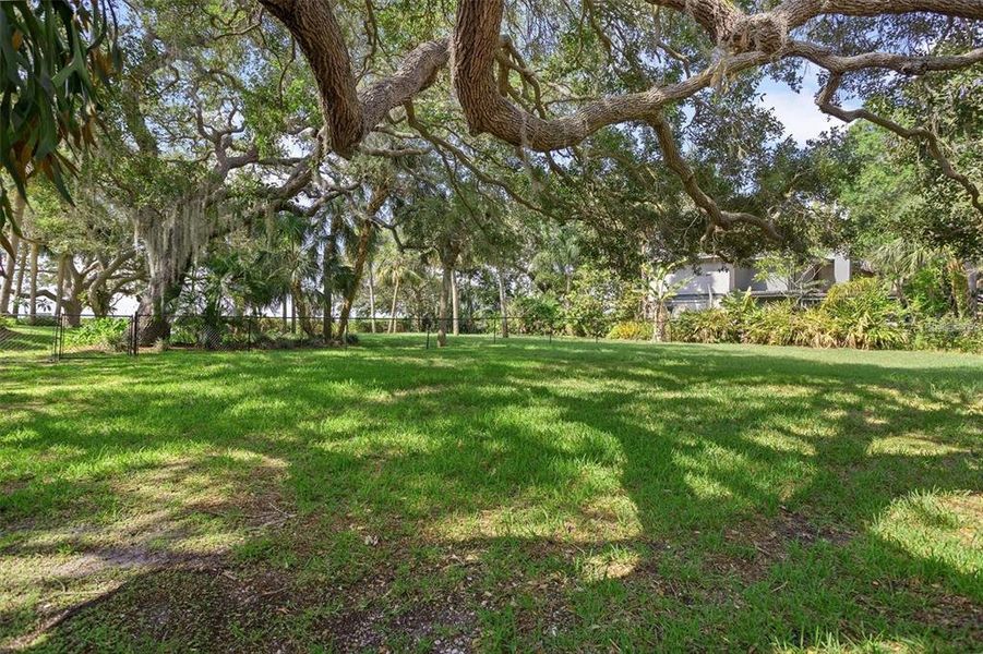 Don't worry, the fence will come down for you to build your dream home!