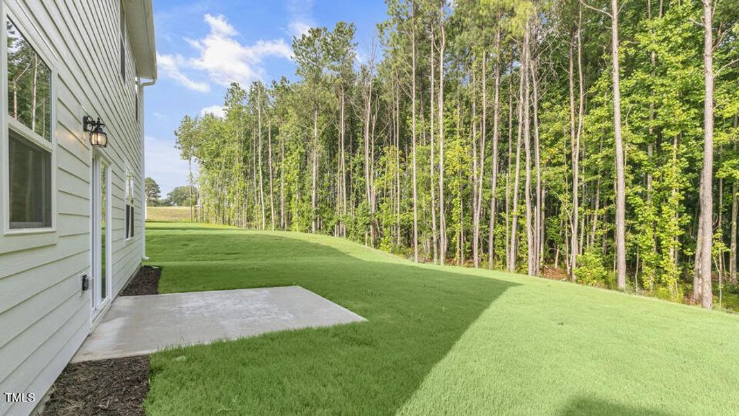 lot-31-809-comice-pear-way-willow-spring