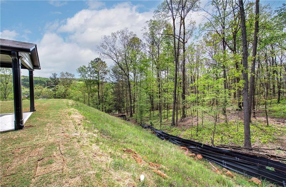 Natural landscape and outdoor views near  in Cartersville (Image 47).