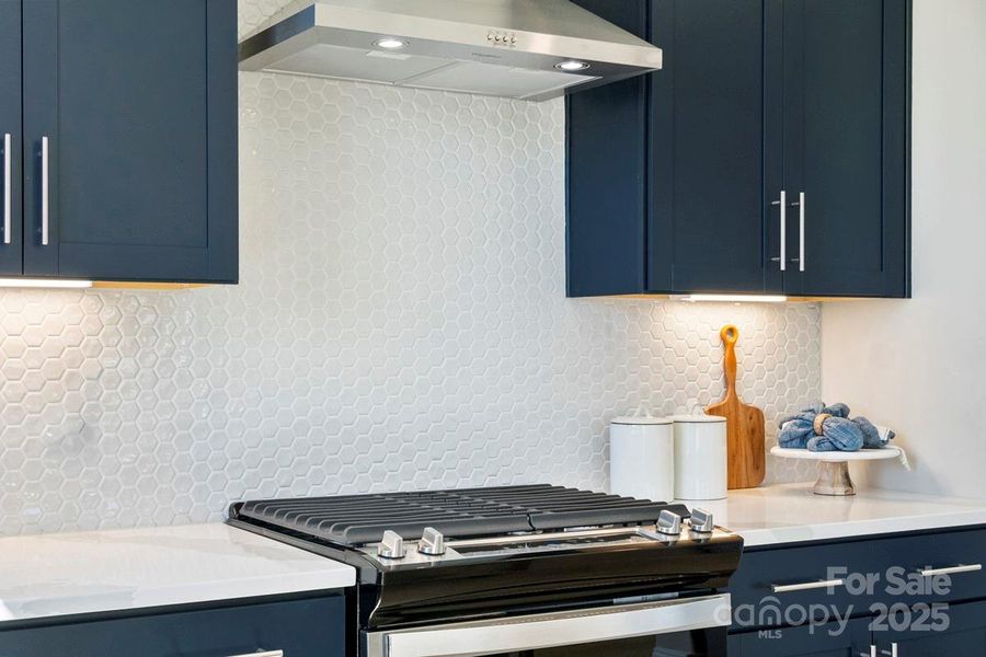 This picture is a representation of the house