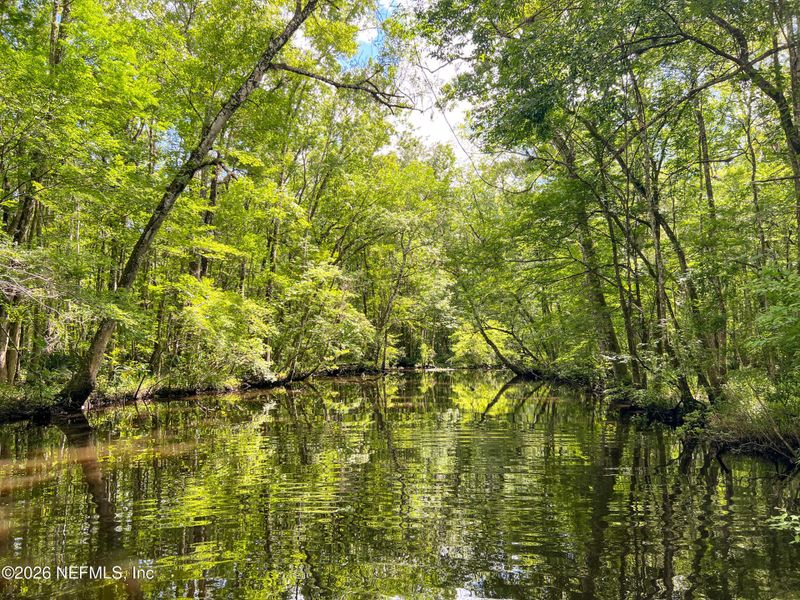 Natural landscape and outdoor views near  in St. Augustine (Image 47).