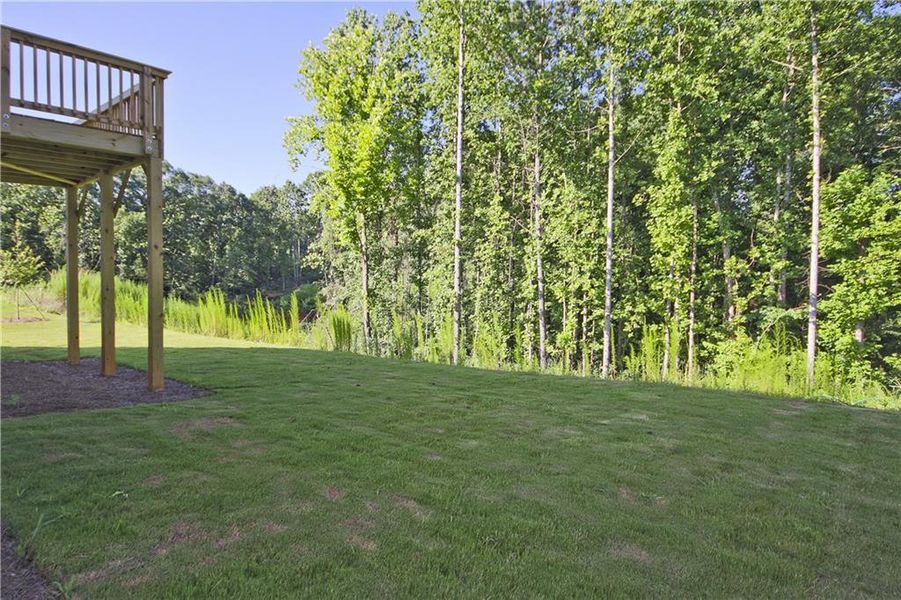 Natural landscape and outdoor views near Clark Farms in Flowery Branch (Image 53). Natural landscape and outdoor views near Clark Farms in Flowery Branch (Image 53).