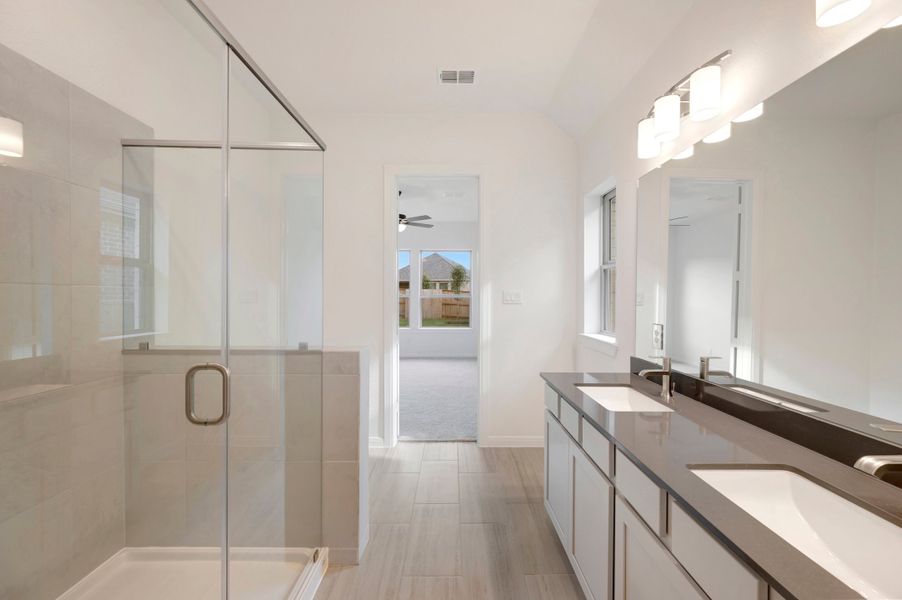 Owner's Bath