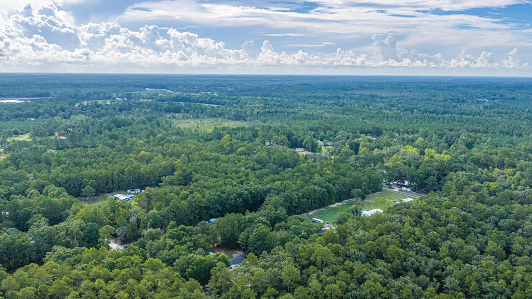 Natural landscape and outdoor views near  in Walterboro (Image 74).
