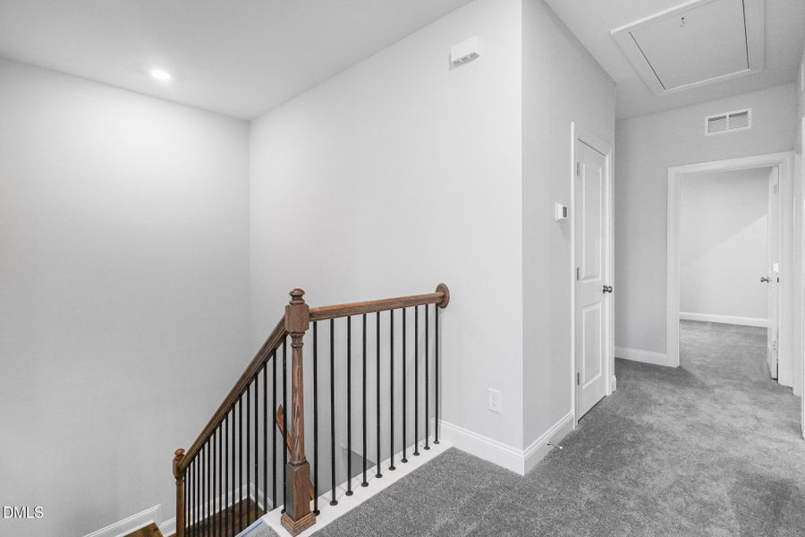 SUN_Everlee_Pic_MayflowerIII_QMI_218_Hal