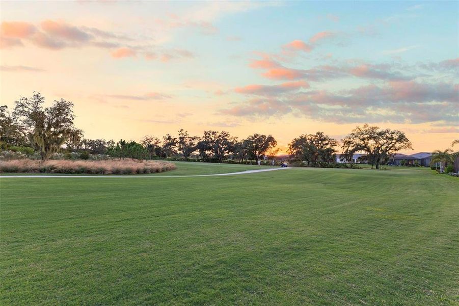 Natural landscape and outdoor views near  in Lakewood Ranch (Image 77).