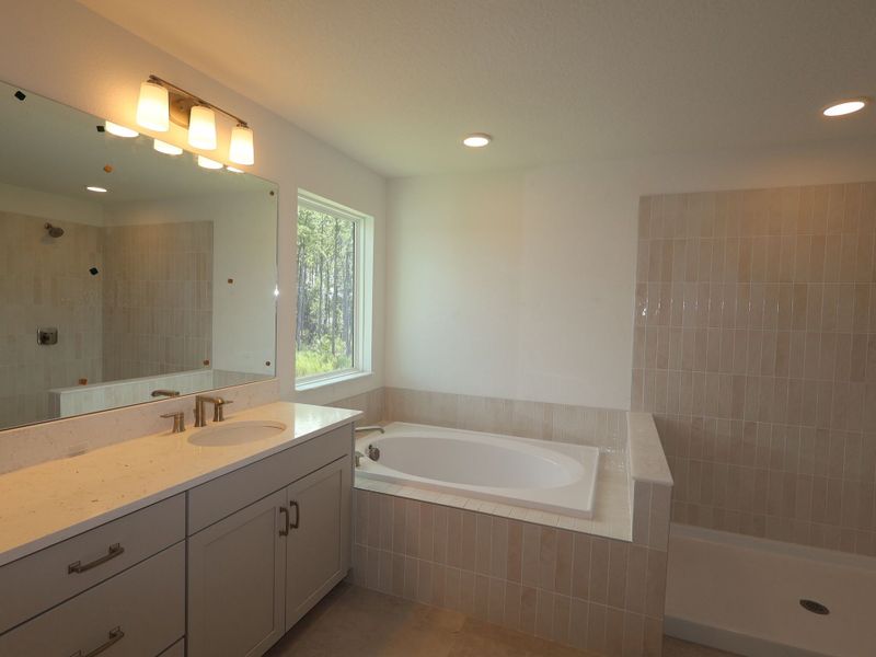 Owner's Bathroom