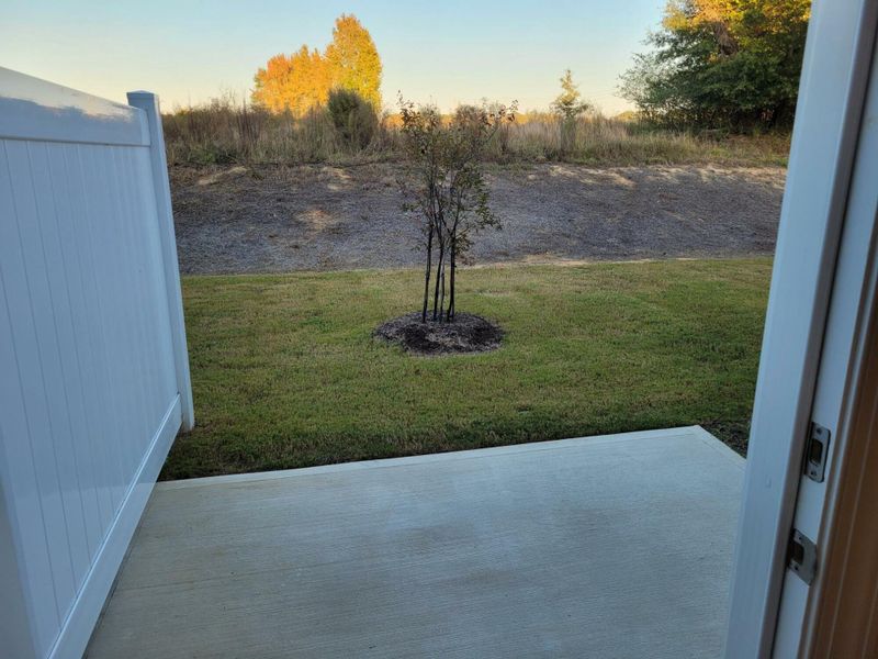 Exterior details and patio area of a home in 1158 Place Townhomes, Wilson (Image 2).