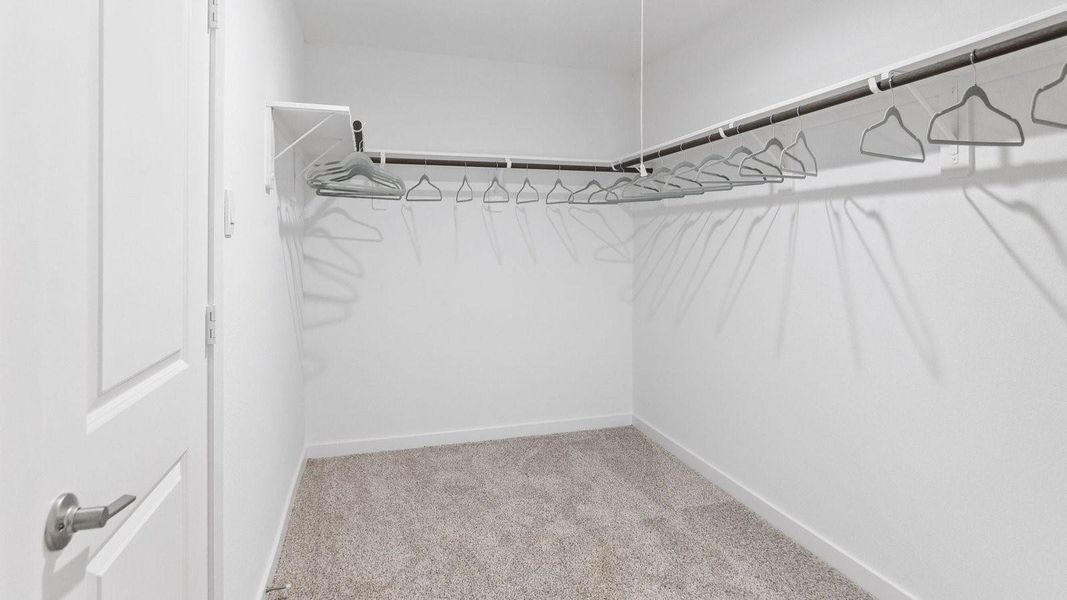 *Images and 3D tour are for illustration only and options may vary from home as built.