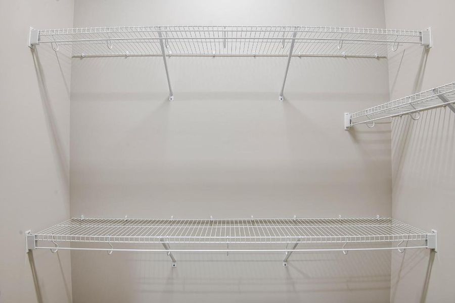 Lot-397-Marlberry-13861-Prickly-Cone-Cov Lot-397-Marlberry-13861-Prickly-Cone-Cov