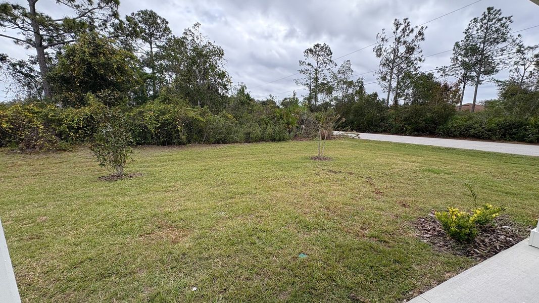 Natural landscape and outdoor views near Palm Coast in Palm Coast (Image 16). Natural landscape and outdoor views near Palm Coast in Palm Coast (Image 16).
