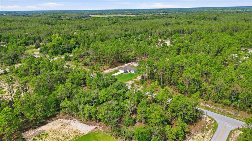 Natural landscape and outdoor views near in Dunnellon (Image 36). Natural landscape and outdoor views near in Dunnellon (Image 36).