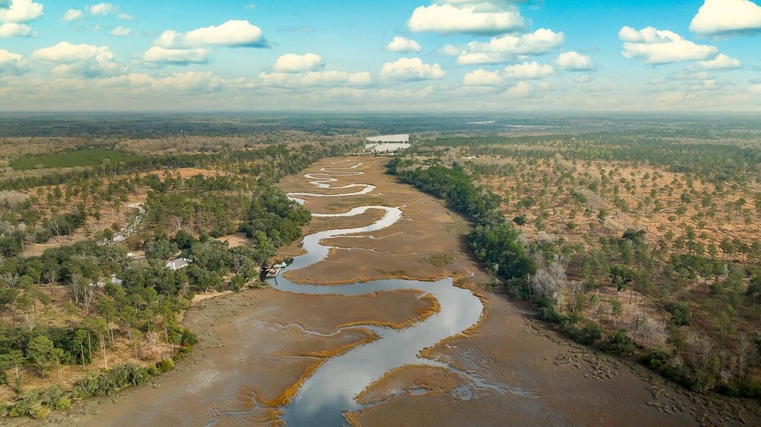 Natural landscape and outdoor views near Rivers Reach in Yemassee (Image 39).