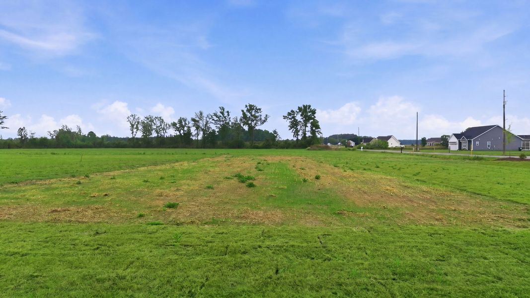 Natural landscape and outdoor views near Dail Farm in Farmville (Image 42). Natural landscape and outdoor views near Dail Farm in Farmville (Image 42).