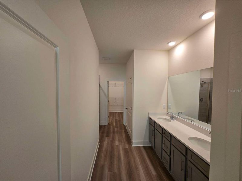 Furnished interior view inside a new home in Arbor Meadows, Spring Hill (Image 5).