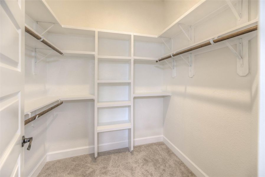A spacious walk-in closet with carpeted flooring, multiple hanging rods, and built-in shelves for organized storage.