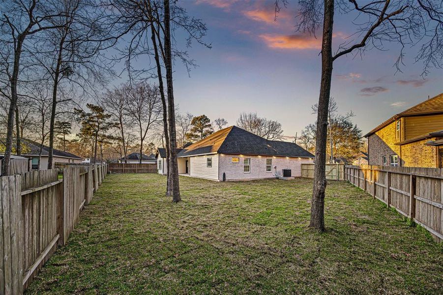 Corner view of backyard