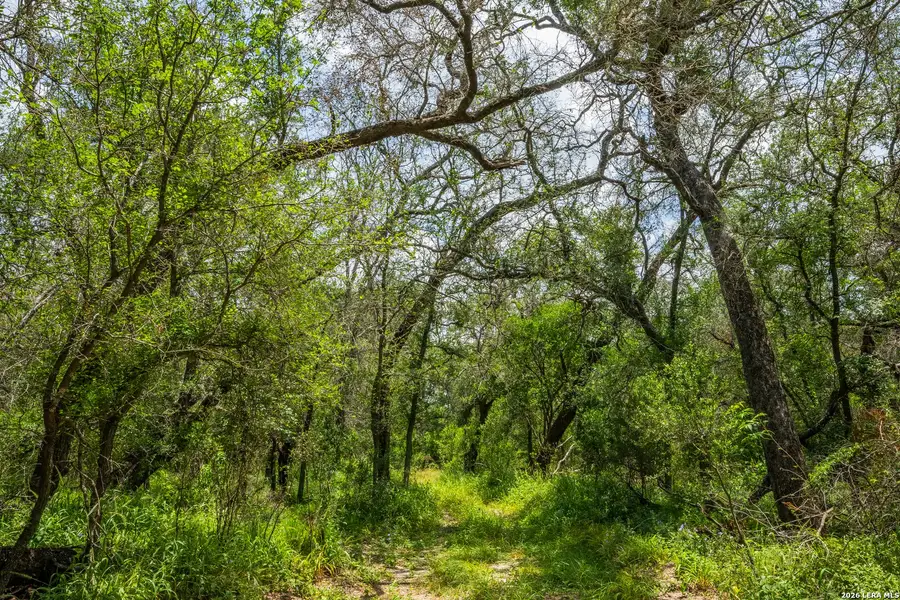 Natural landscape and outdoor views near in Crystal City (Image 40). Natural landscape and outdoor views near in Crystal City (Image 40).