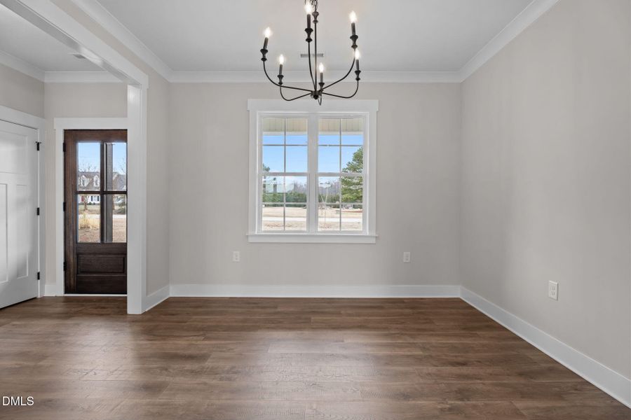 16-web-or-mls-DSC03288