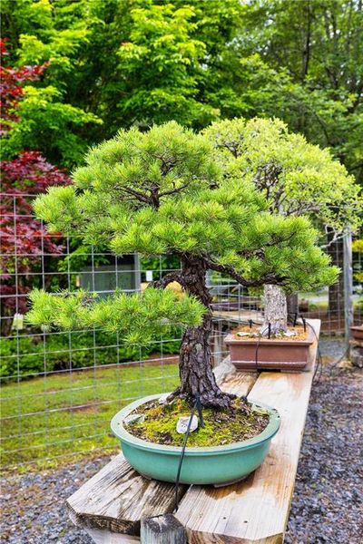 Image 39 of a home in Livingstone Park.