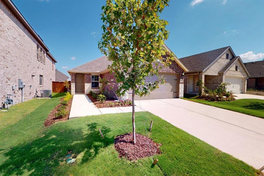 Front exterior of a new home in Elevon, Lavon, TX, highlighting curb appeal (Image 21).