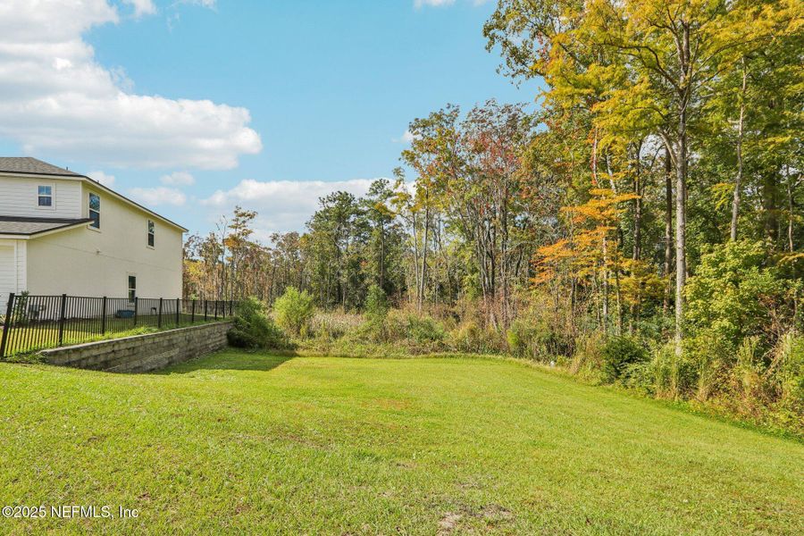 Natural landscape and outdoor views near  in Jacksonville (Image 25).