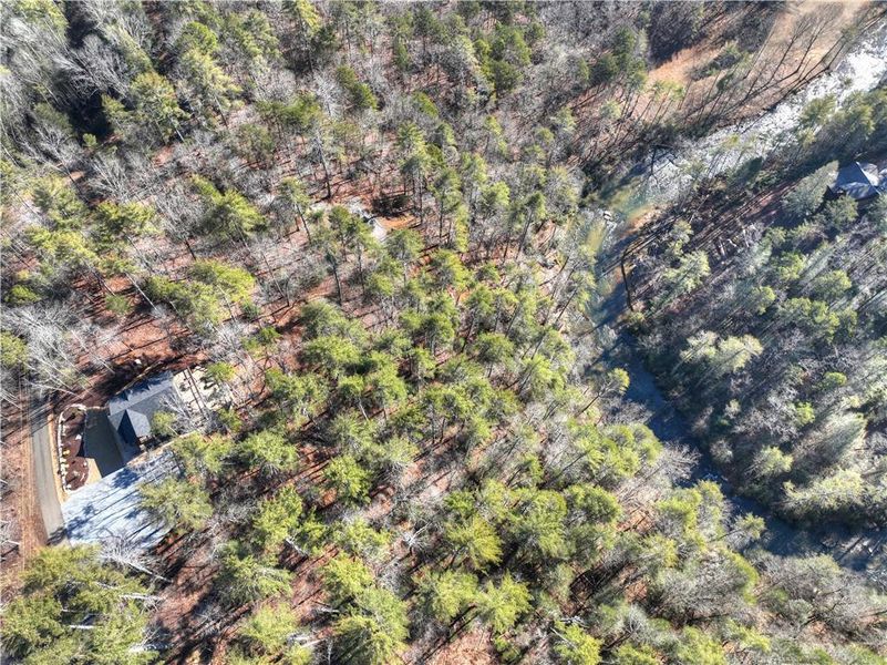 Natural landscape and outdoor views near  in Ellijay (Image 52).