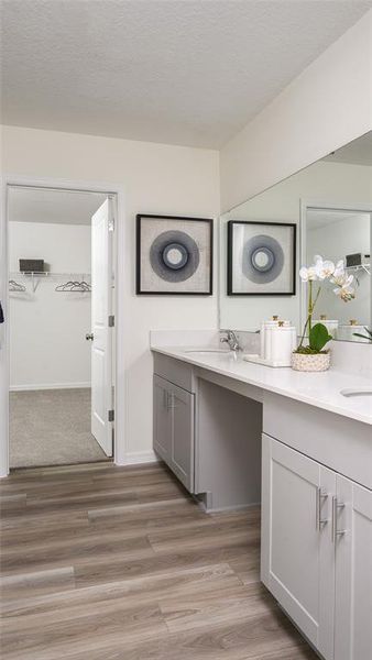 Furnished interior view inside a new home in Pasadena Landing, Wesley Chapel (Image 12). Furnished interior view inside a new home in Pasadena Landing, Wesley Chapel (Image 12).