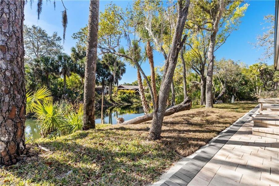 Natural landscape and outdoor views near  in Punta Gorda (Image 35).