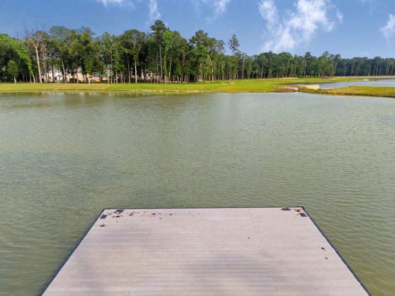 Natural landscape and outdoor views near  in Porter (Image 24).