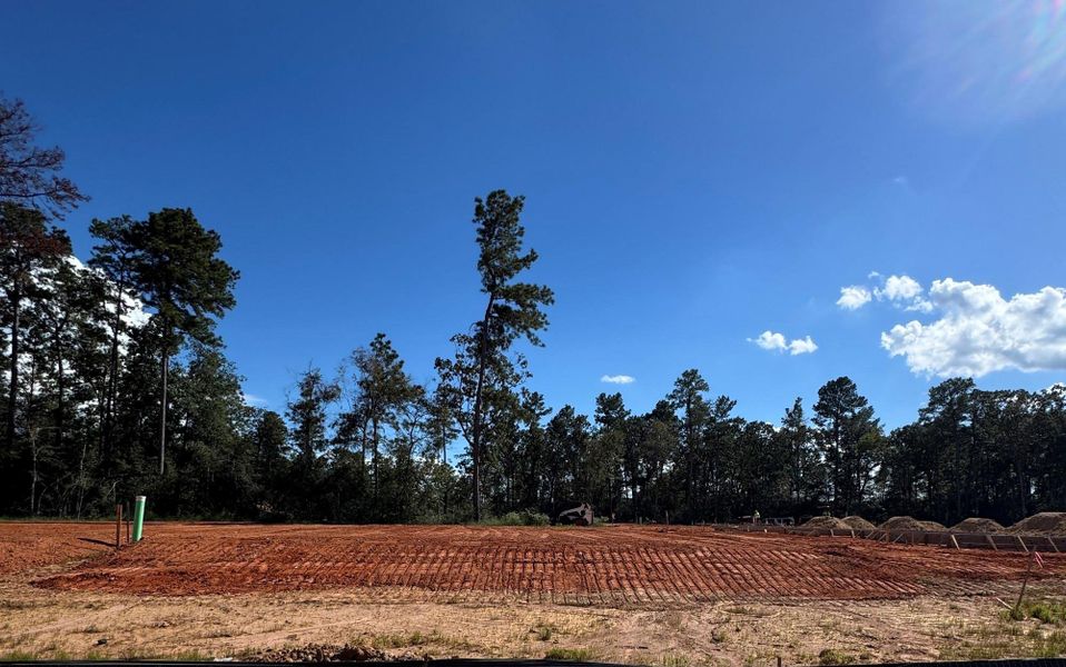 Natural landscape and outdoor views near Two Step Farm in Montgomery (Image 8). Natural landscape and outdoor views near Two Step Farm in Montgomery (Image 8).