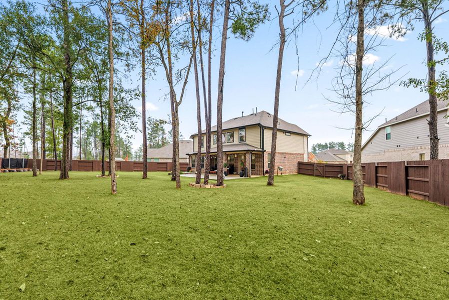 Exterior details and patio area of a home in ARTAVIA: Fairway Collection, Conroe (Image 3).
