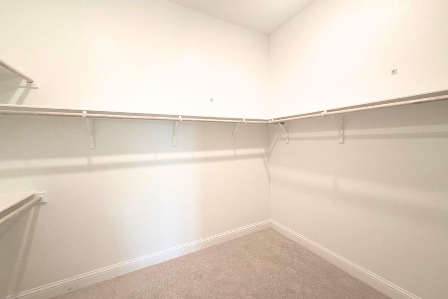 Spacious walk-in closet featuring light-colored carpeting, white baseboards, and built-in shelving and hanging rods Spacious walk-in closet featuring light-colored carpeting, white baseboards, and built-in shelving and hanging rods