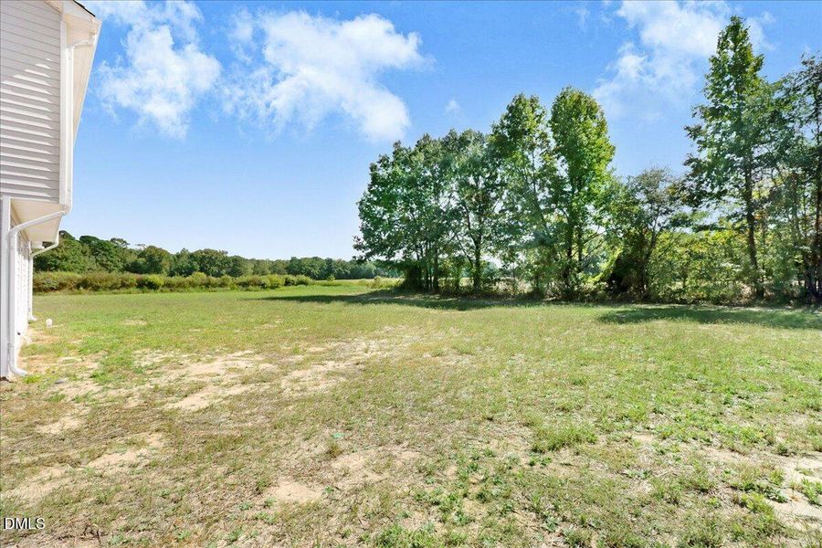 Back Yard View Back Yard View