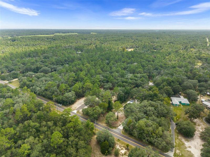 Natural landscape and outdoor views near  in Dunnellon (Image 33).