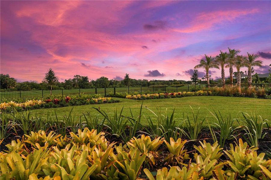 Natural landscape and outdoor views near Cassia at Skye Ranch in Sarasota (Image 55). Natural landscape and outdoor views near Cassia at Skye Ranch in Sarasota (Image 55).