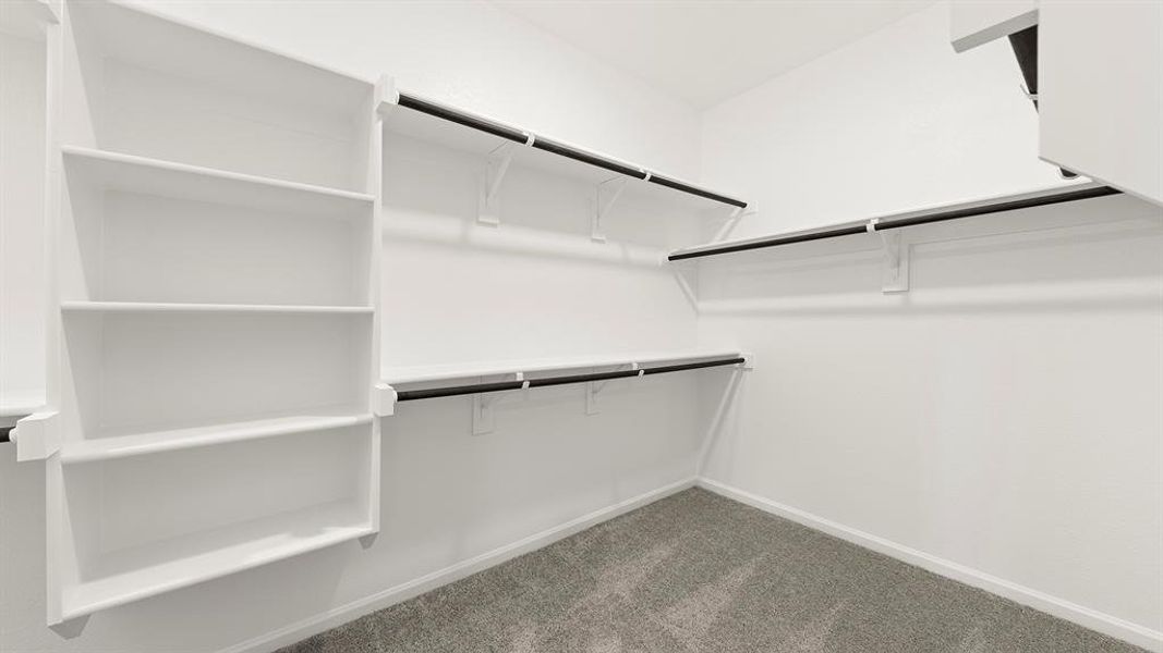 24. 3100 Areca - Closet 24. 3100 Areca - Closet